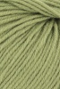 1128.0044 - lime