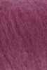 698.0146 - Zyklame