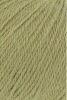 719.0016 - Kiwi