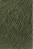 719.0098 - Olive