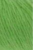887.0016 - Apfel