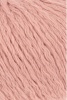 933.0027 - apricot