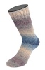 2205 - Tauben-/Graublau/Graubeige/Hell-/Nebelgrau/ Pflaume