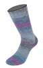 2209 - Dunkelgrau/Jeans-/Hellblau/Graubraun/Fuchsia/Graublau