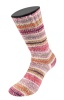 4205 - Burgund/Ocker/Ecru/Bordeaux/Orange/Fliederlila/Graubeige