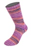 5504 - violett/apricot/blau