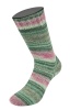 6177 - Dunkel-/Grüngrau/Jade/Moos-/Zartgrün/Hellgrau/Fuchsia