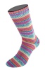 2521 - Hellblau/Gelb/Fuchsia/Orange/Jeans/Graugrün