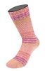 4117 - Rosa/Senfgelb/Fuchsia/Erika