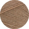 2429 - Camel