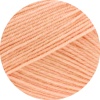 2458 - Apricot