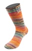 3179 - Mokka/Cyan/Senfgelb/Himbeer/Orange/Flieder