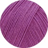 36 - Fuchsia