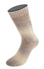 6009 - Beige/Sandbeige/Grau