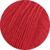 1003 - Rot