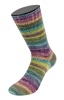 9716 - Cosima