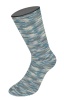 9661 - Multi