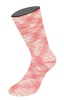 9662 - Multi