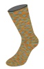 9665 - Multi