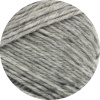 8972 - Grau meliert
