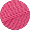 9679 - Nelkenrosa