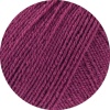 36 - Fuchsia