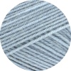 2420 - Graublau