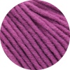 152 - Fuchsia