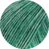 25 -Petrol meliert
