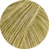 26 - Kiwi meliert