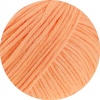 23 - Apricot