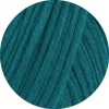 25 - Petrol