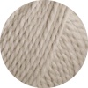 12 - Graubeige