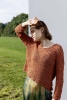 Artikelbild 1 des Artikels “Pullover (VIII) aus Lino 784.0111 - Ocker | S (400g)“