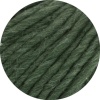 28 - Loden