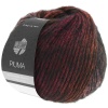 Artikelbild 1 des Artikels “Lana Grossa Piuma “