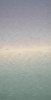 301 - mint/flieder/natur