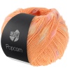 Artikelbild 1 des Artikels “Lana Grossa Popcorn “