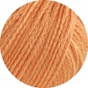 23 - Apricot