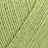 00071 - green leaf