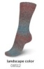 08512 - landscape color