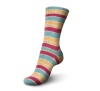 01325 - biathlon color