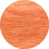 22 - Lachs