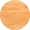 48 - Apricot