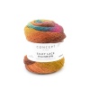 Artikelbild 1 des Artikels “Katia Concept Silky Lace Rainbow “