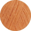 28 - Apricot