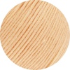 01 - Apricot