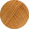 43 - Camel