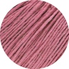62 - Nelkenrosa
