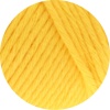 01 - Gelb